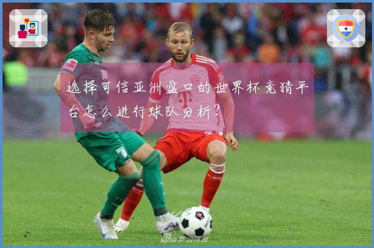 选择可信亚洲盘口的世界杯竞猜平台怎么进行球队分析？