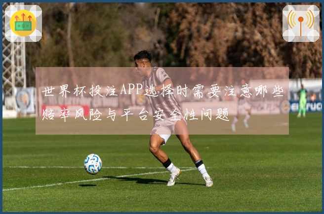 世界杯投注APP选择时需要注意哪些赔率风险与平台安全性问题